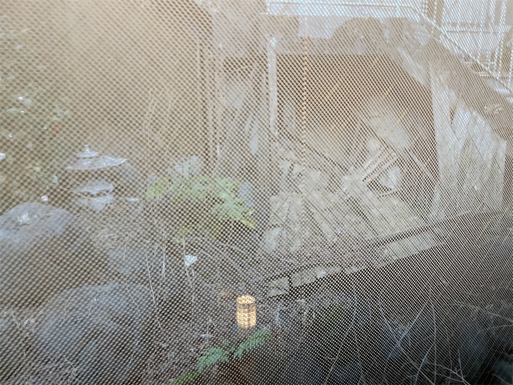 f:id:bananabasyo:20240319190136j:image