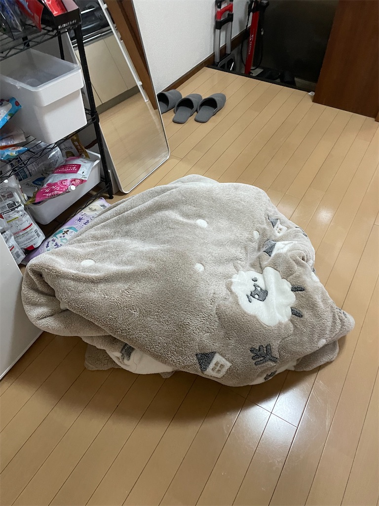 f:id:bananabasyo:20240320223542j:image