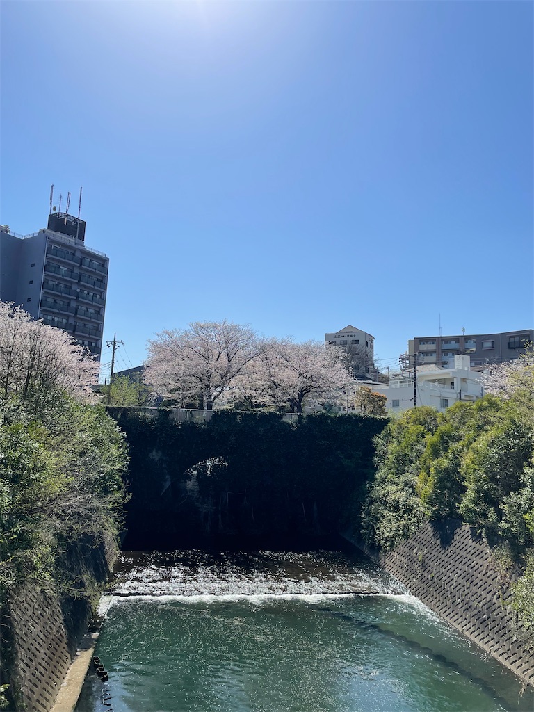 f:id:bananabasyo:20240410200840j:image