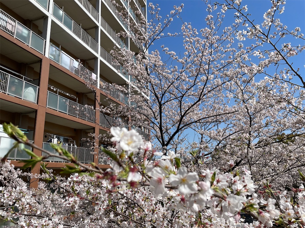 f:id:bananabasyo:20240410200851j:image