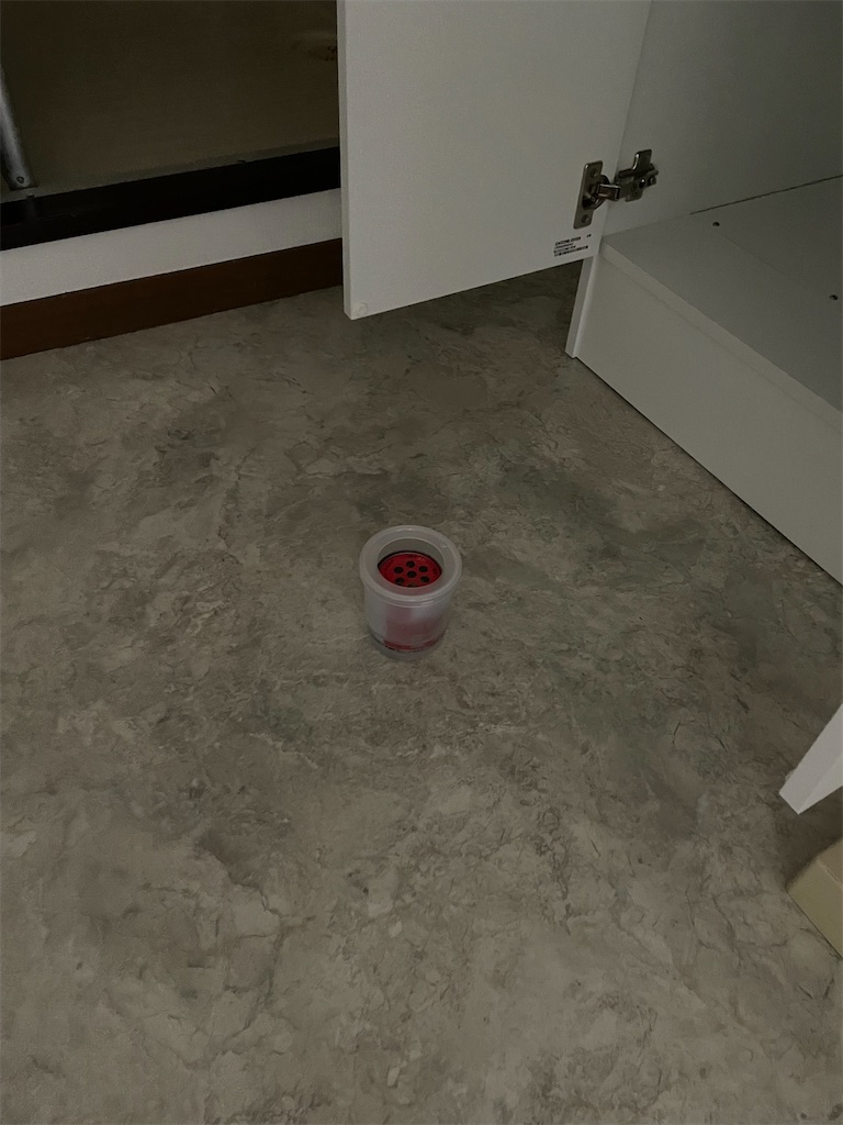 f:id:bananabasyo:20240423223139j:image
