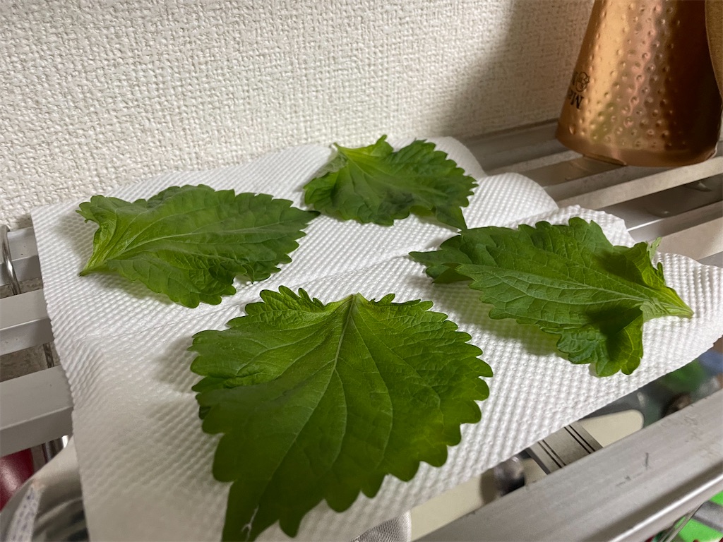 f:id:bananabasyo:20240601223029j:image