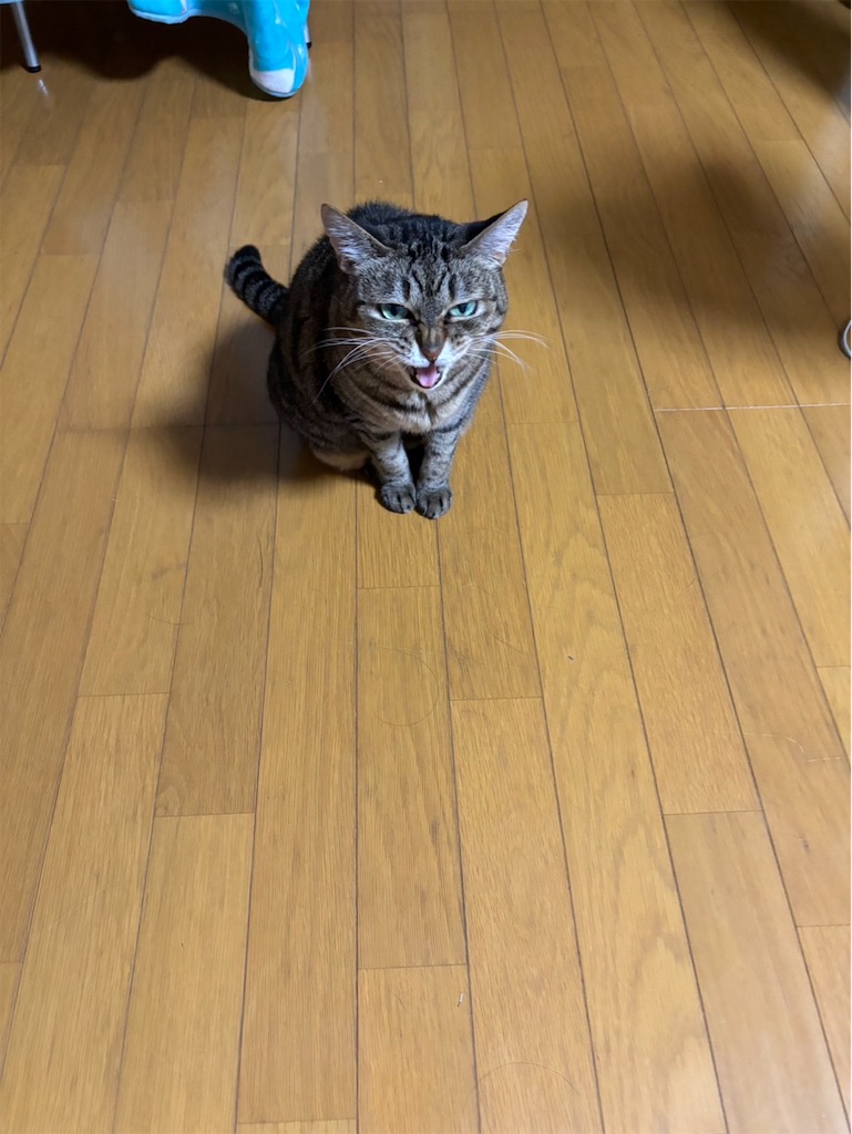 f:id:bananabasyo:20240731232721j:image