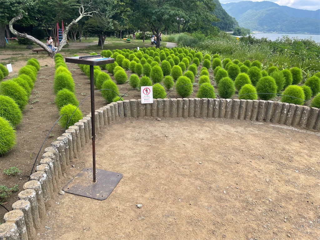 f:id:bananabasyo:20240805200110j:image
