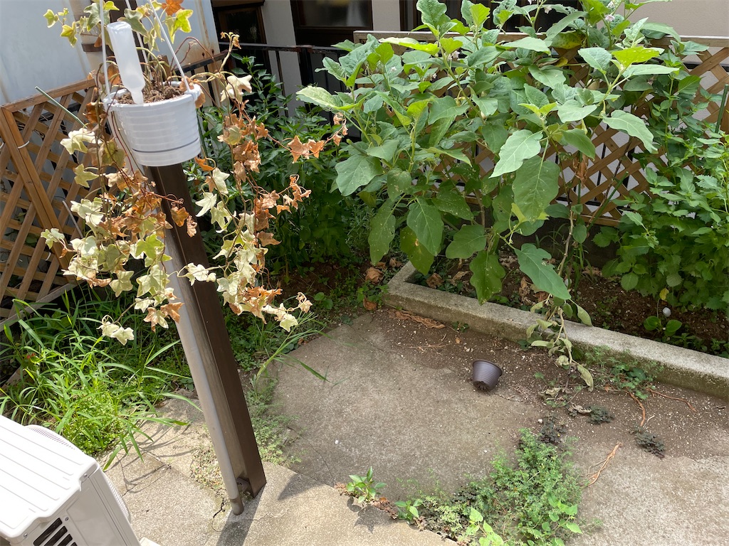 f:id:bananabasyo:20240814231014j:image