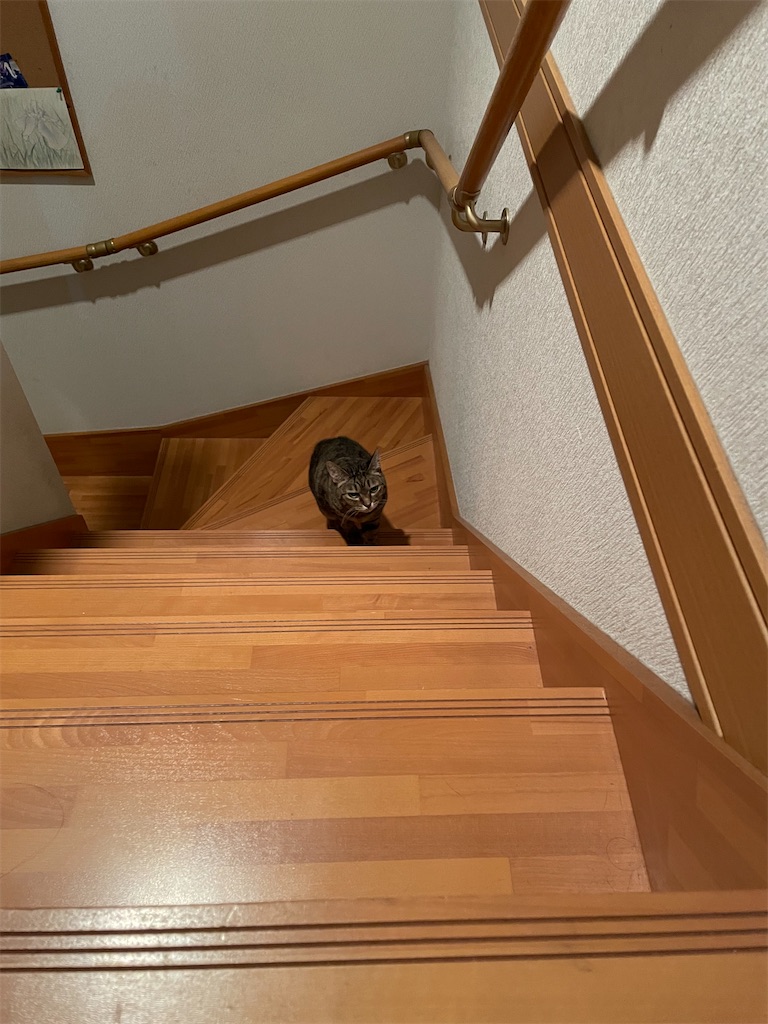 f:id:bananabasyo:20240814231033j:image