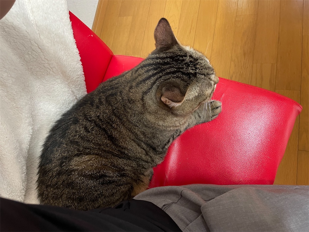 f:id:bananabasyo:20240818234706j:image f:id:bananabasyo:20240818234706j:image