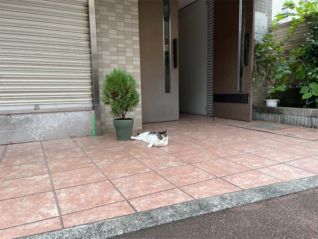 f:id:bananabasyo:20240901221829j:image f:id:bananabasyo:20240901221829j:image