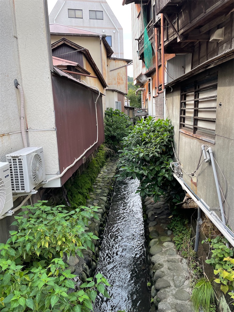 f:id:bananabasyo:20240901221916j:image f:id:bananabasyo:20240901221916j:image