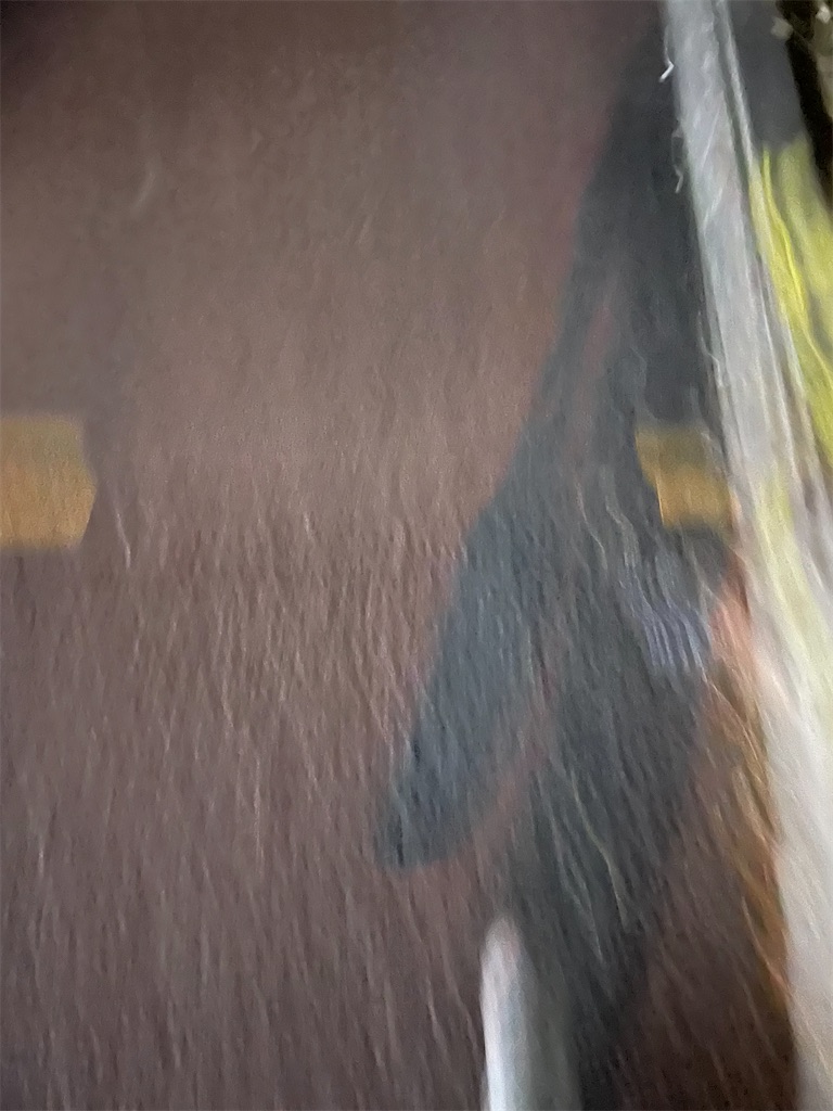 f:id:bananabasyo:20241112214522j:image