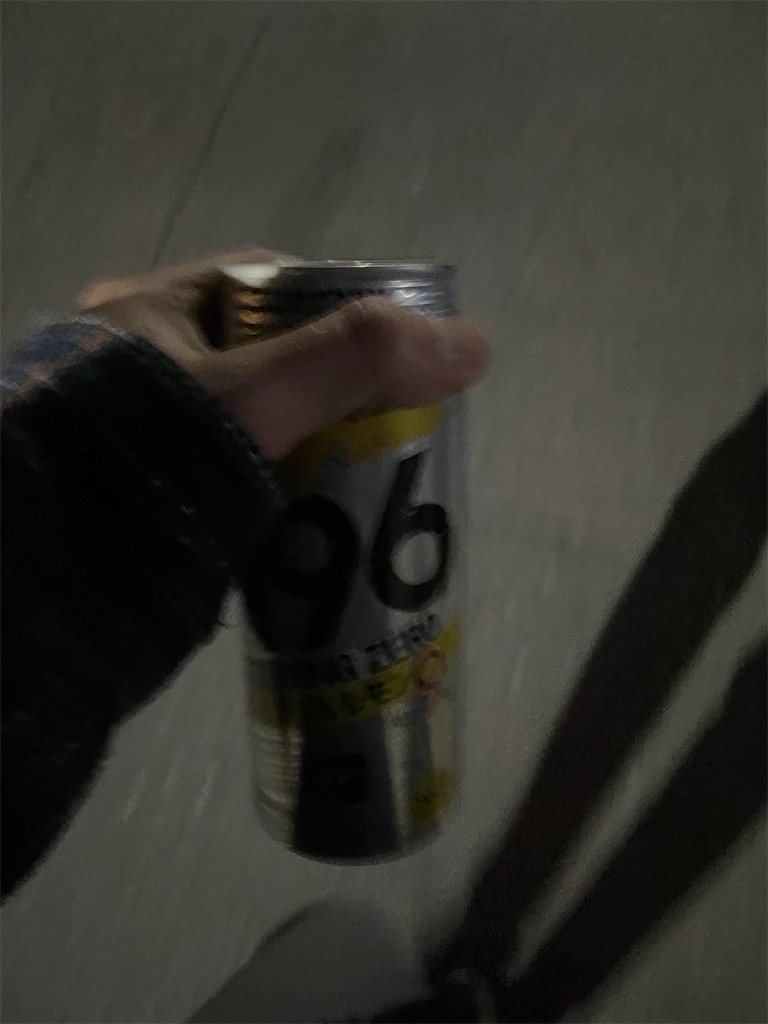 f:id:bananabasyo:20241221224334j:image