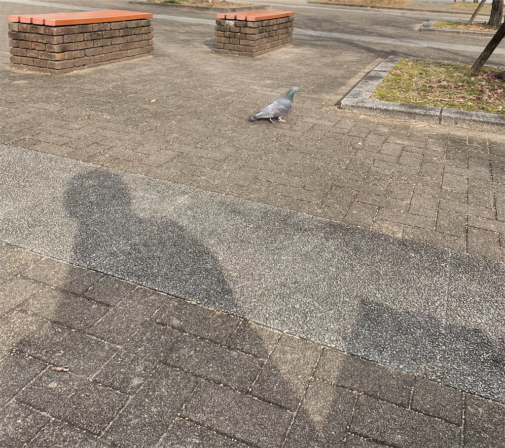 f:id:bananabasyo:20250116193202j:image