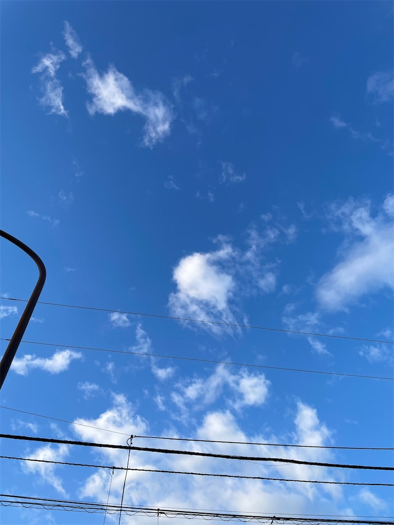 f:id:bananabasyo:20250116193246j:image