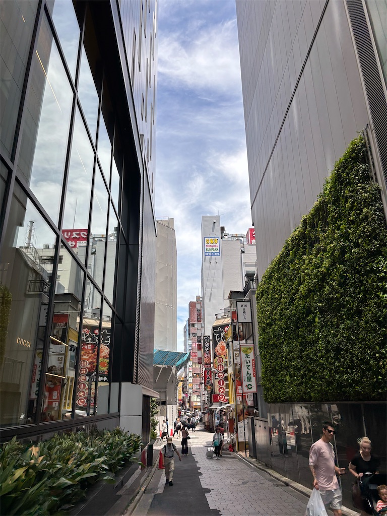 f:id:bananabasyo:20250722171933j:image