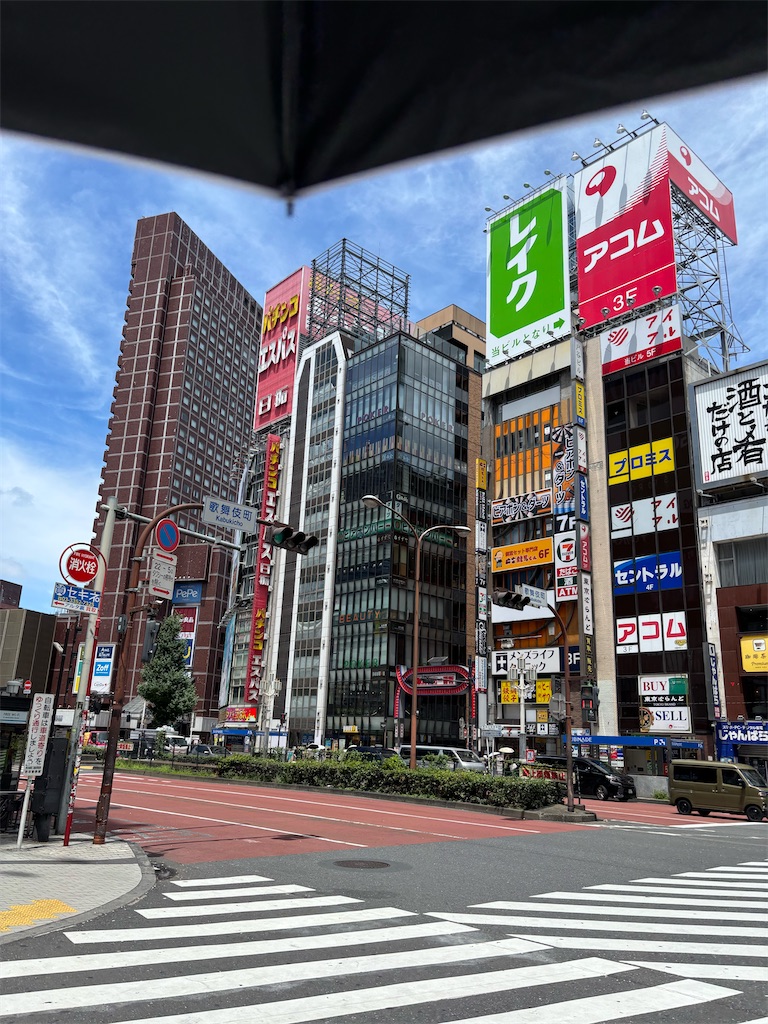f:id:bananabasyo:20250722172052j:image