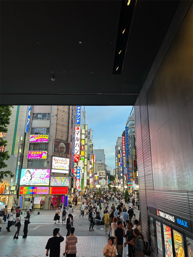 f:id:bananabasyo:20250722172116j:image