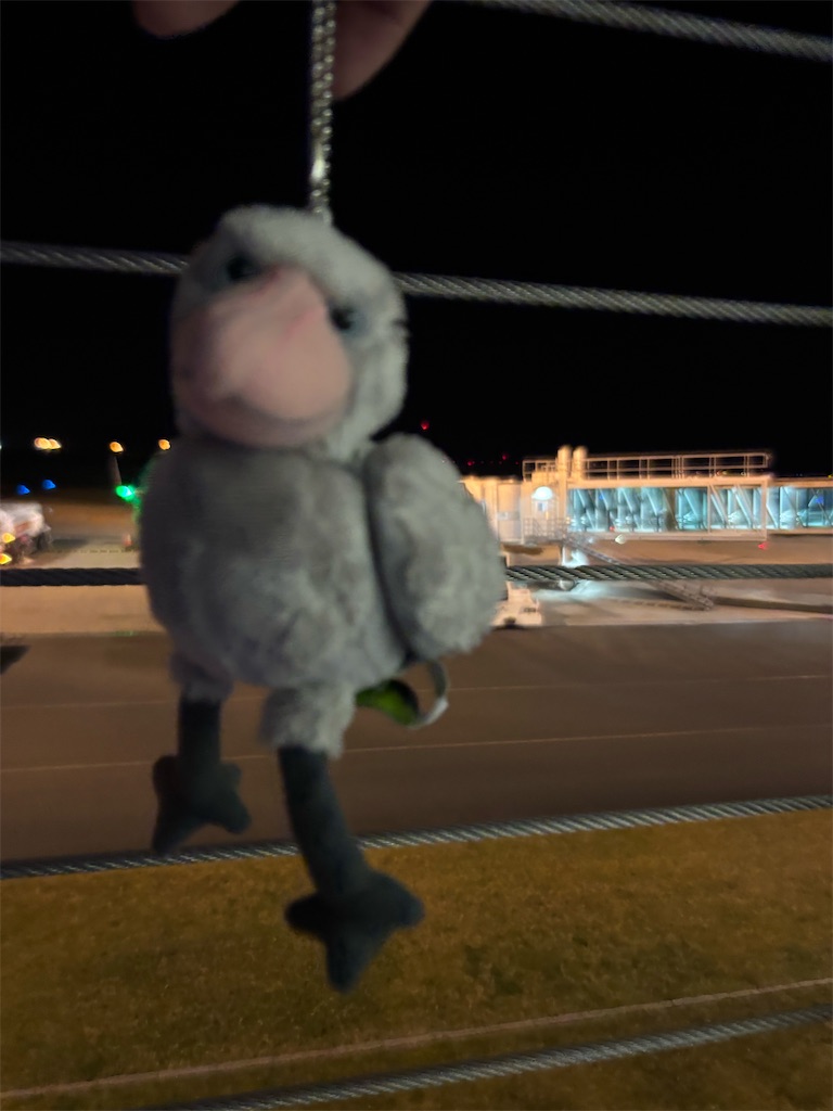 f:id:bananabasyo:20251208201314j:image