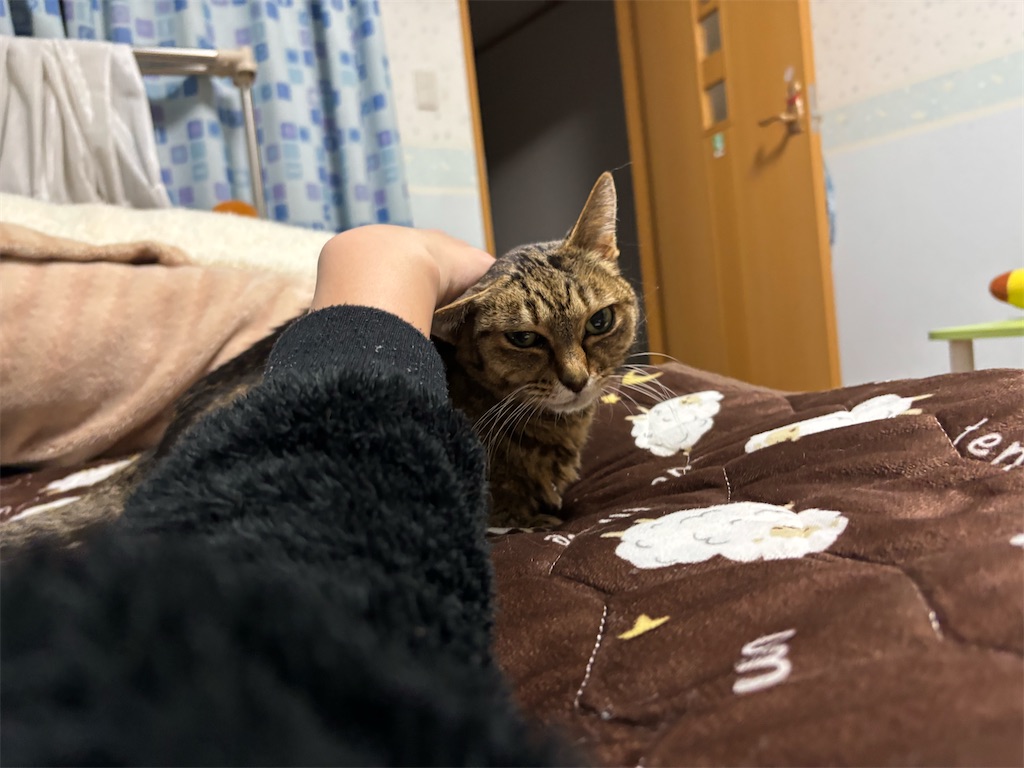 f:id:bananabasyo:20260120184033j:image