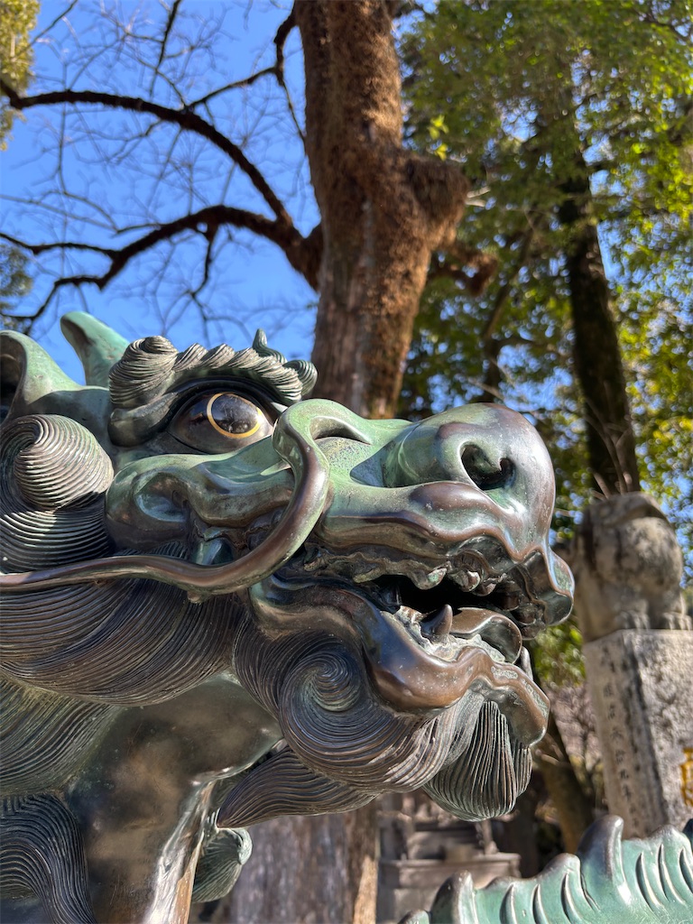 f:id:bananabasyo:20260120184122j:image