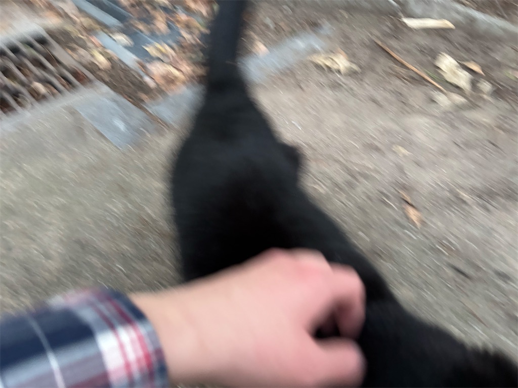 f:id:bananabasyo:20260120185135j:image