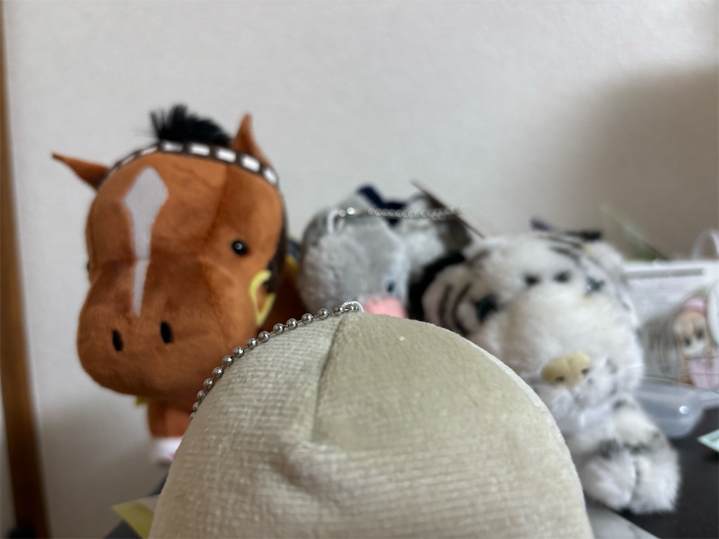 f:id:bananabasyo:20260227153956j:image