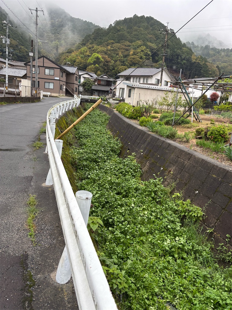 f:id:bananabasyo:20260421193658j:image