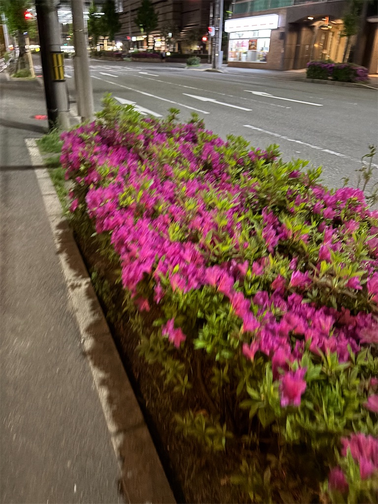f:id:bananabasyo:20260421193810j:image