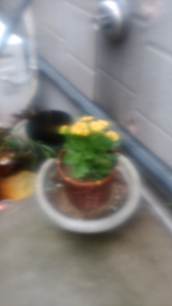 f:id:bananagakko:20160925154215j:plain f:id:bananagakko:20160925154215j:plain