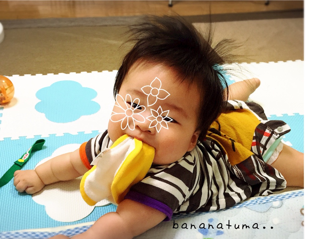 f:id:bananatuma:20151210143213j:image f:id:bananatuma:20151210143213j:image
