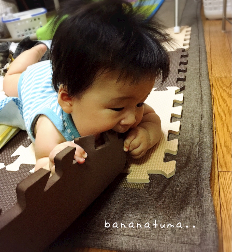 f:id:bananatuma:20151211120259j:image f:id:bananatuma:20151211120259j:image