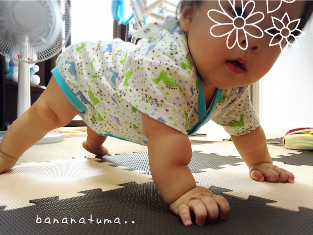 f:id:bananatuma:20151211213450j:image f:id:bananatuma:20151211213450j:image