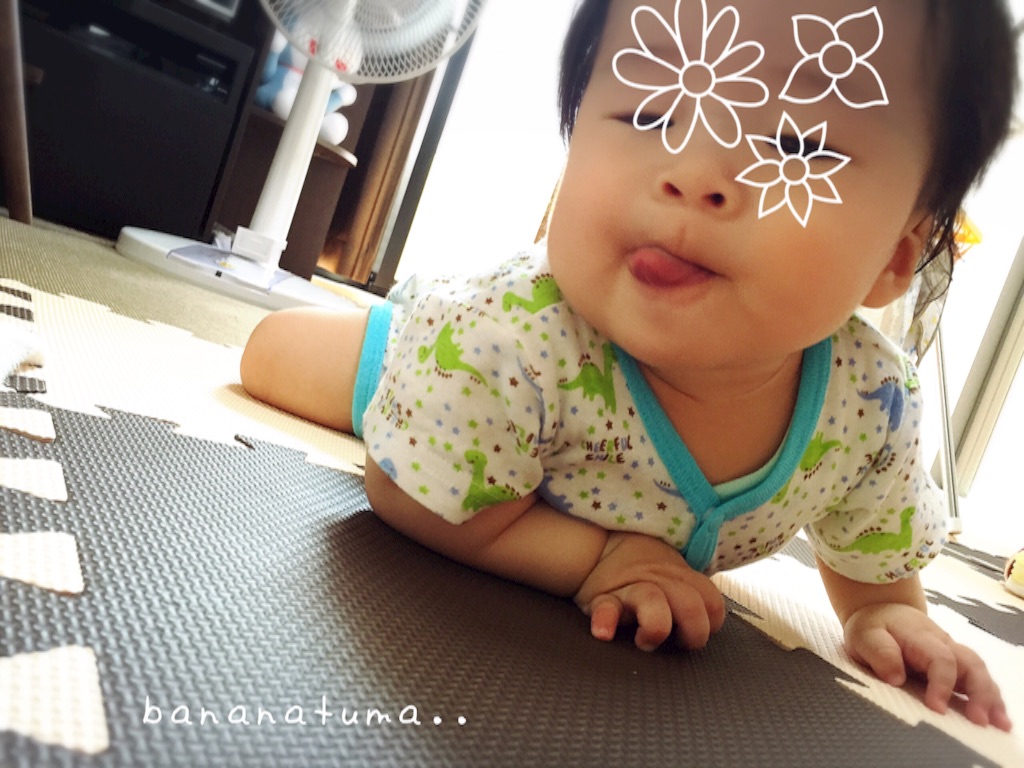 f:id:bananatuma:20151211213851j:image f:id:bananatuma:20151211213851j:image