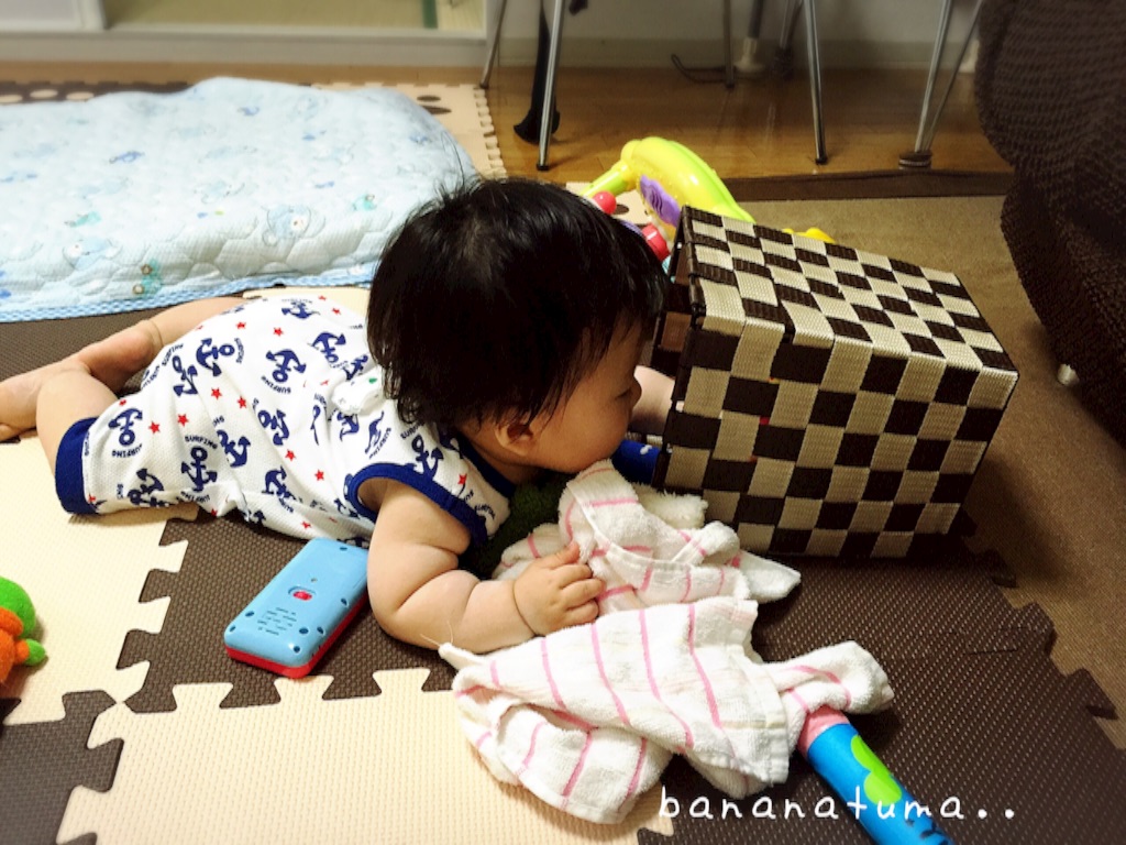 f:id:bananatuma:20151211215048j:image f:id:bananatuma:20151211215048j:image