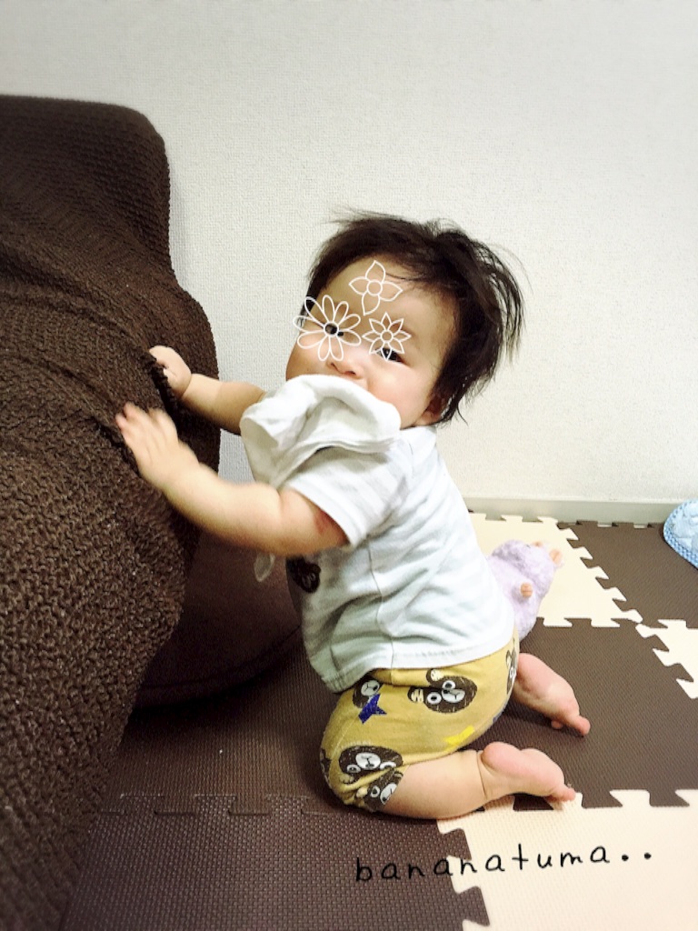 f:id:bananatuma:20151211221317j:image f:id:bananatuma:20151211221317j:image