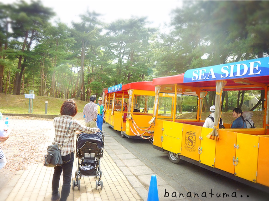 f:id:bananatuma:20151228130554j:image f:id:bananatuma:20151228130554j:image