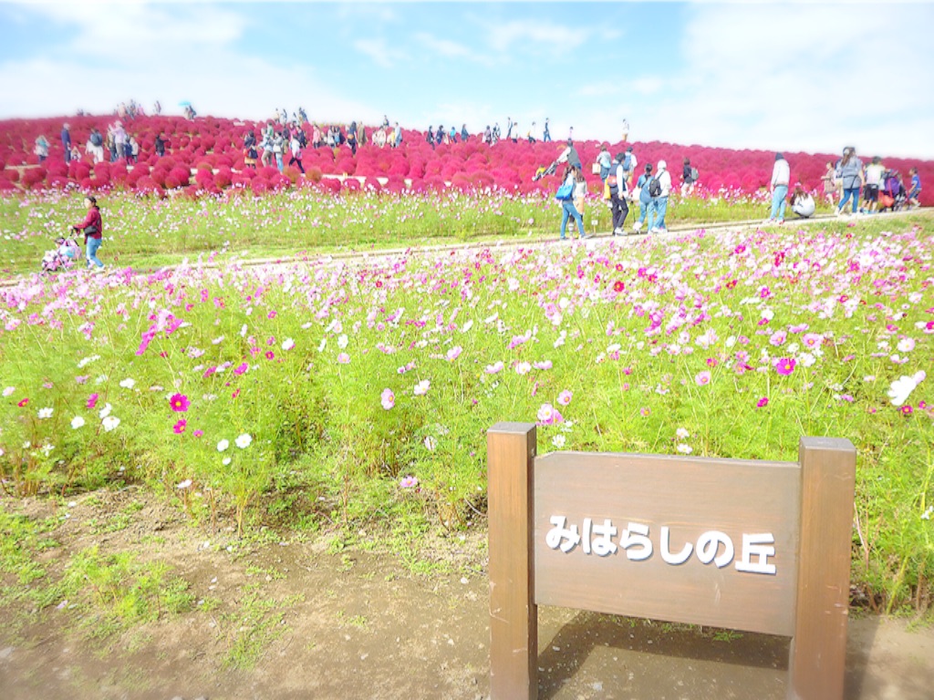 f:id:bananatuma:20151228130823j:image f:id:bananatuma:20151228130823j:image