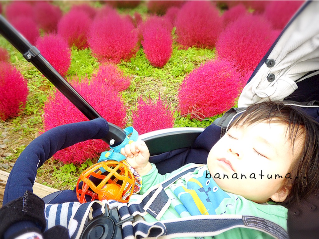 f:id:bananatuma:20151228131428j:image f:id:bananatuma:20151228131428j:image