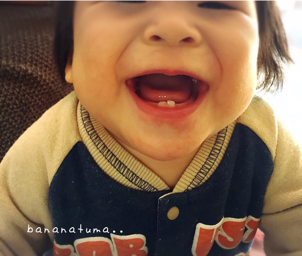 f:id:bananatuma:20151229122045j:image f:id:bananatuma:20151229122045j:image