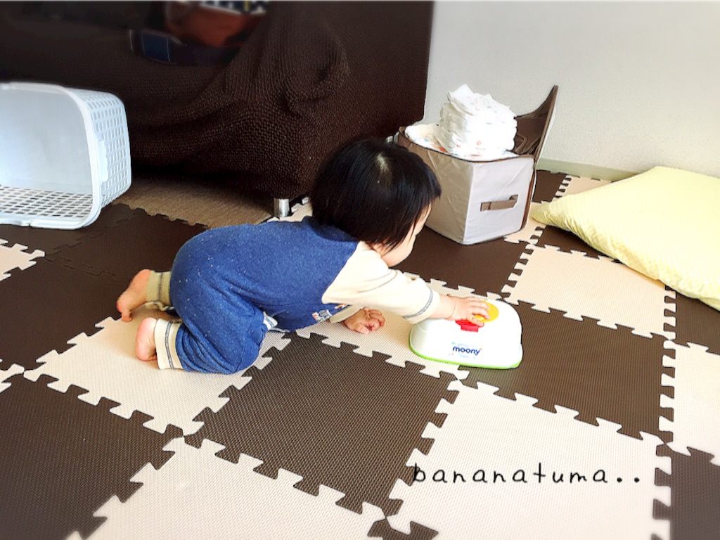 f:id:bananatuma:20151229122608j:image f:id:bananatuma:20151229122608j:image