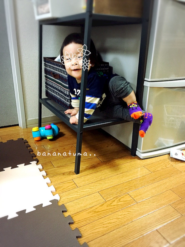 f:id:bananatuma:20151229205228j:image f:id:bananatuma:20151229205228j:image