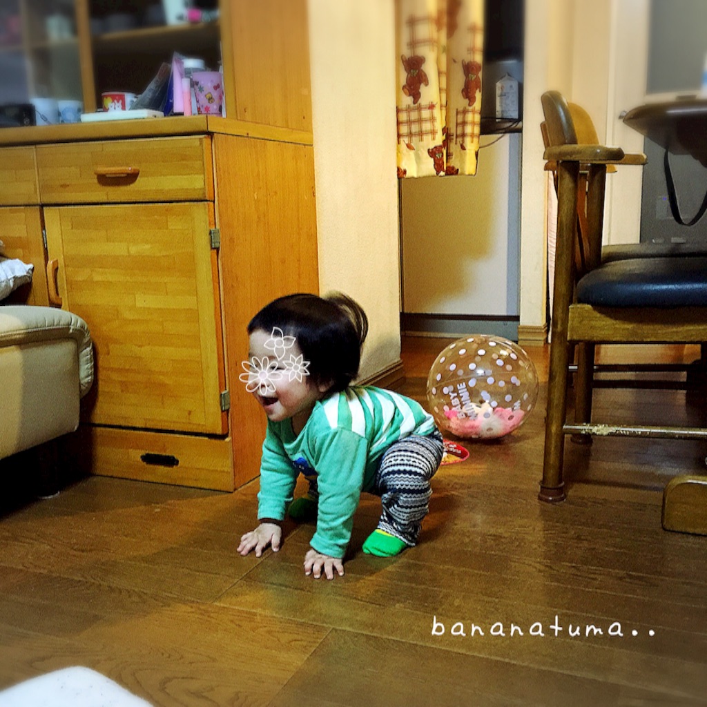 f:id:bananatuma:20151229210938j:image f:id:bananatuma:20151229210938j:image