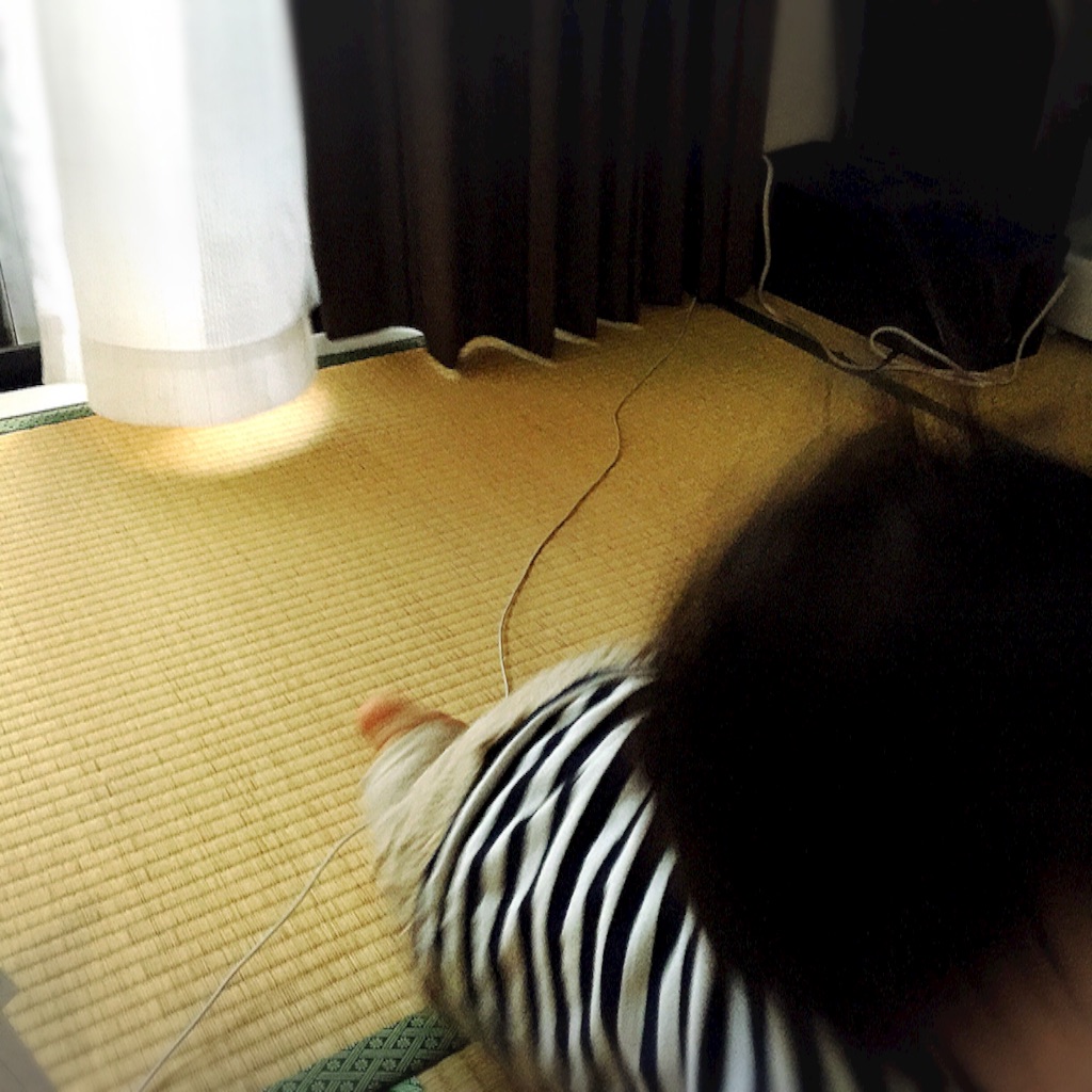 f:id:bananatuma:20160117135531j:image f:id:bananatuma:20160117135531j:image