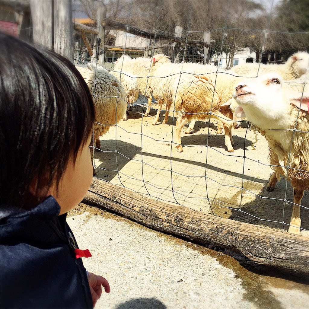 f:id:bananatuma:20160401104715j:image f:id:bananatuma:20160401104715j:image