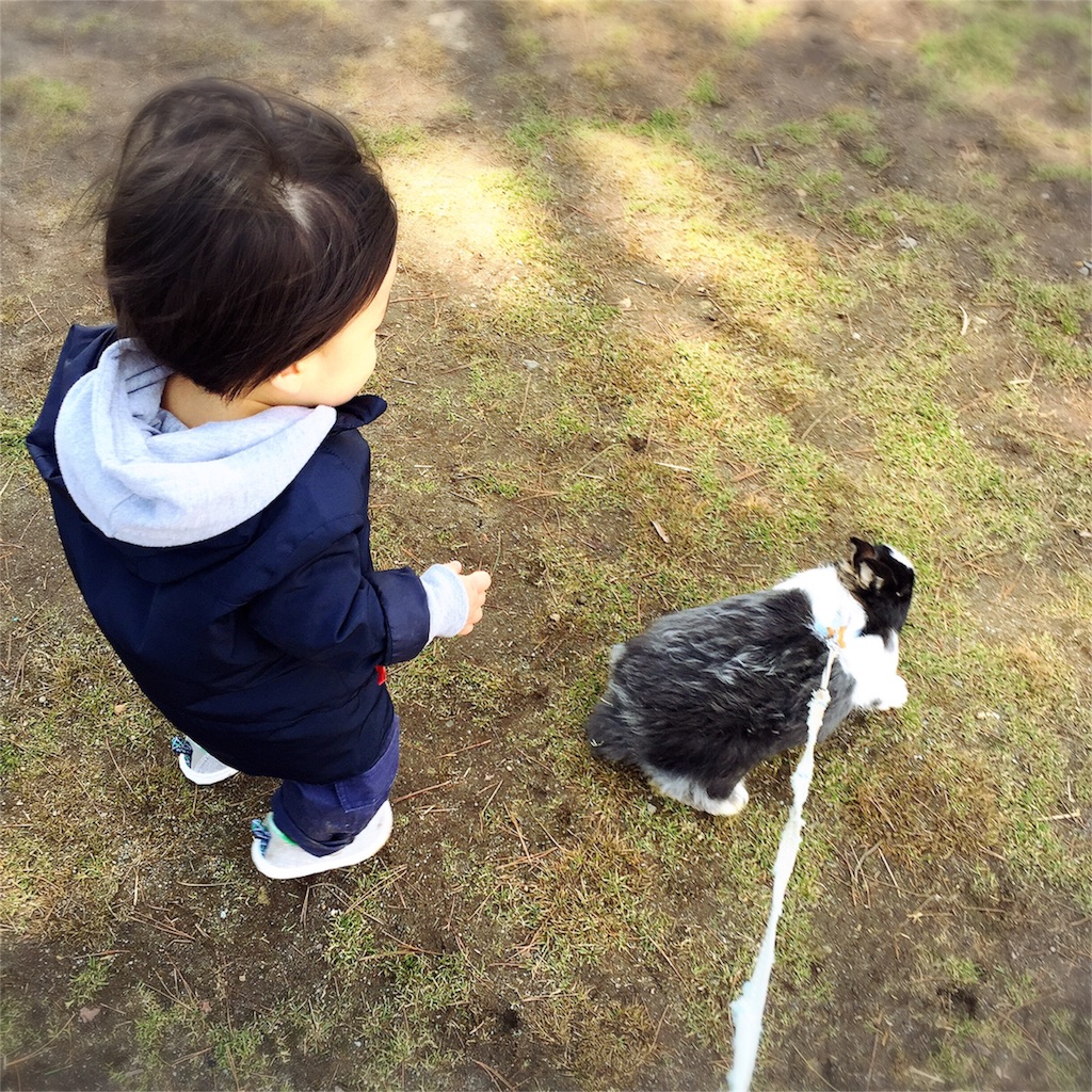 f:id:bananatuma:20160401110324j:image f:id:bananatuma:20160401110324j:image