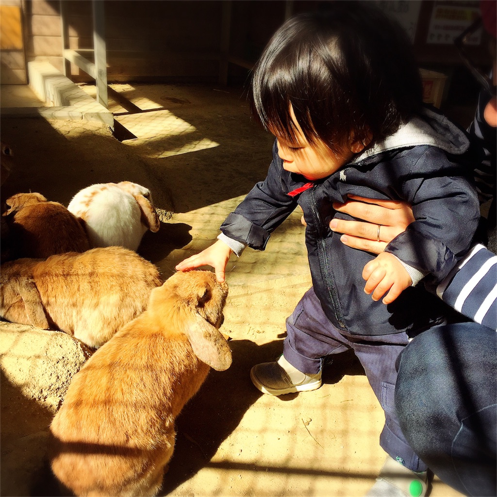 f:id:bananatuma:20160401111235j:image f:id:bananatuma:20160401111235j:image