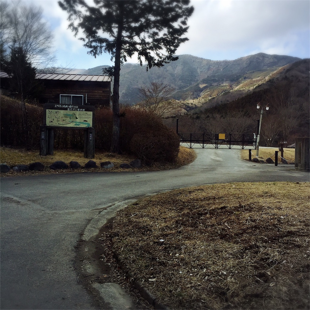 f:id:bananatuma:20160401111732j:image f:id:bananatuma:20160401111732j:image