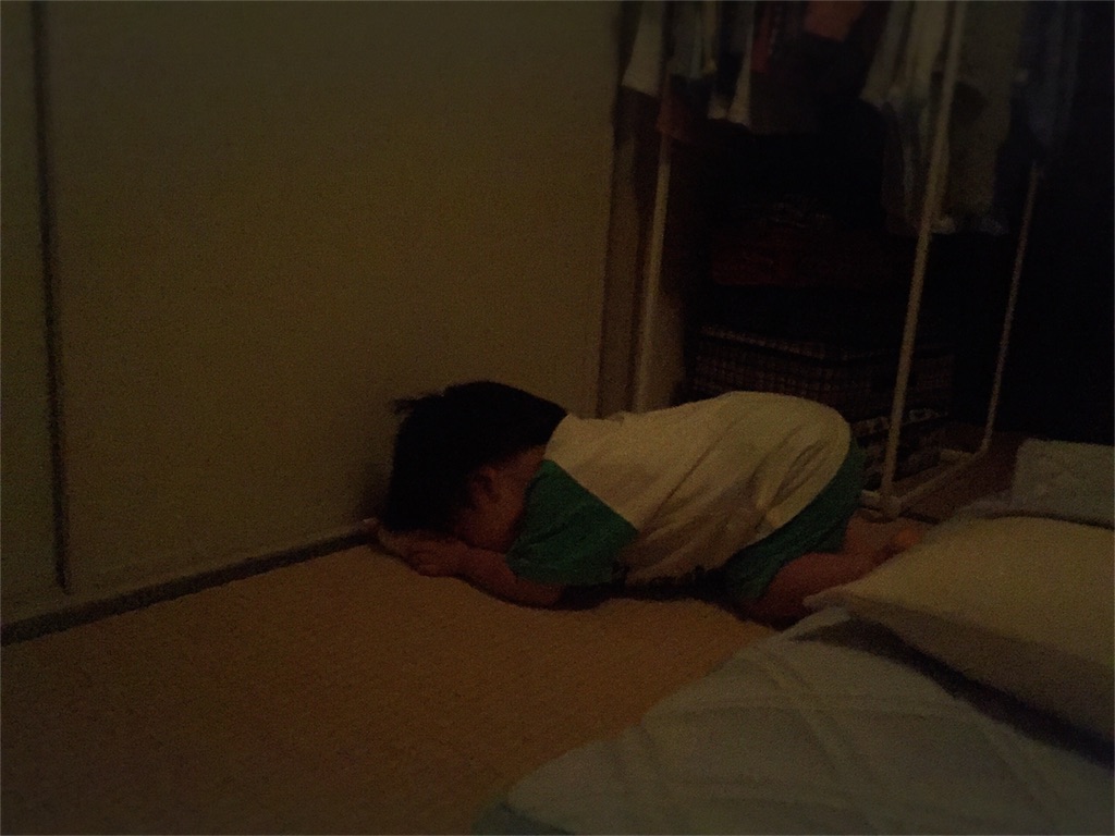 f:id:bananatuma:20161011172109j:image f:id:bananatuma:20161011172109j:image