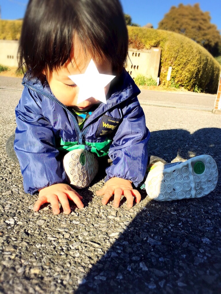f:id:bananatuma:20170301163818j:image f:id:bananatuma:20170301163818j:image
