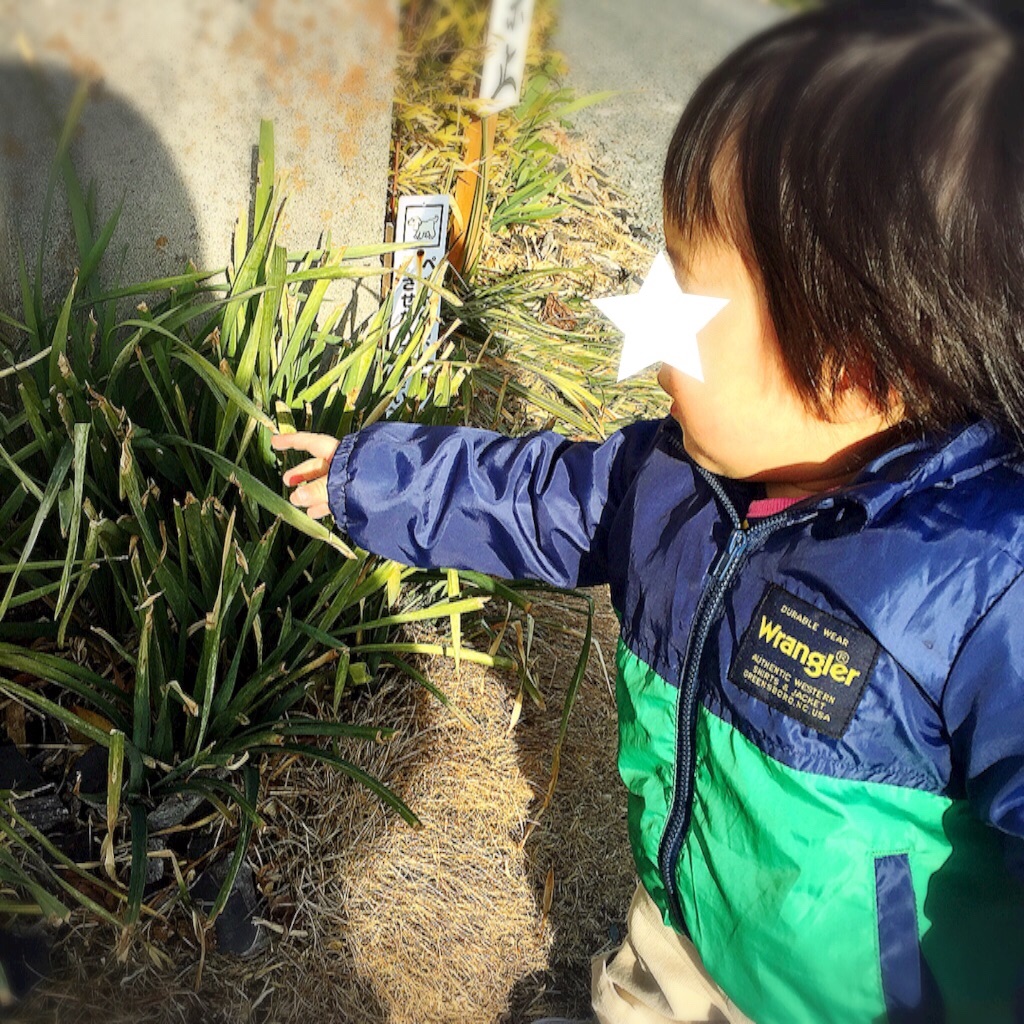 f:id:bananatuma:20170301163854j:image f:id:bananatuma:20170301163854j:image