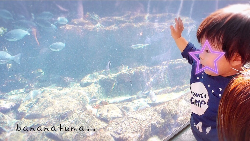 f:id:bananatuma:20170302131726j:image f:id:bananatuma:20170302131726j:image
